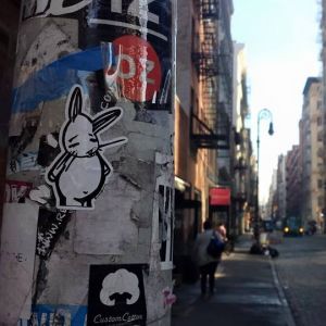Bunny vs. NYC