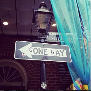 Bunny vs. New Orleans