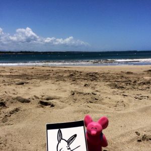 Bunny vs. Puerto Rico