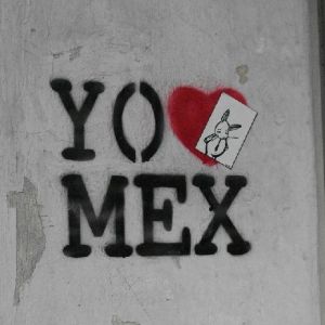 Bunny vs. Mexico City