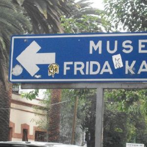 Bunny vs. Mexico City