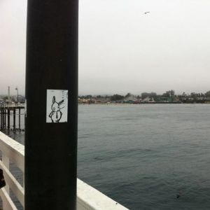 Bunny vs. Long Beach