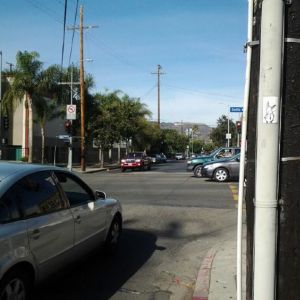 Bunny vs. Santa Monica