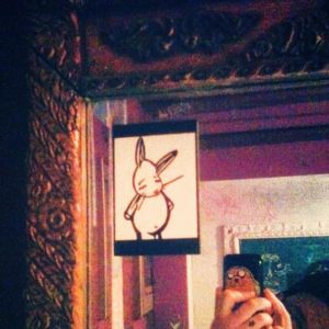 Bunny vs. Spiderhouse