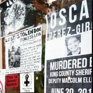 Bunny vs. Seattle, WA