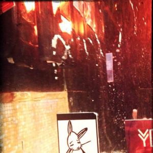 Bunny vs. the Mohawk