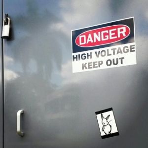 Bunny vs. Puerto Rico