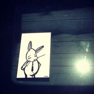 Bunny vs. a car window