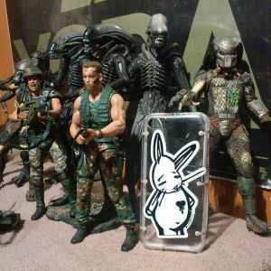 Bunny vs. Chuck's toys