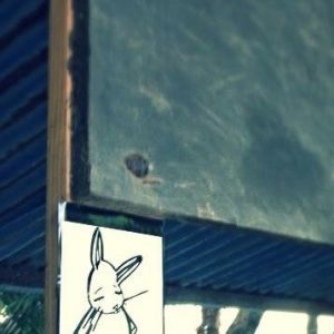 Bunny vs. Costa Rica