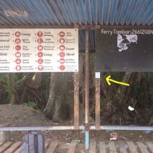 Bunny vs. Costa Rica