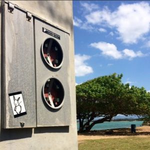 Bunny vs. Puerto Rico