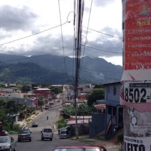 Bunny vs. Costa Rica