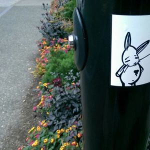 Bunny vs. Portland
