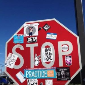 Bunny vs. South Austin