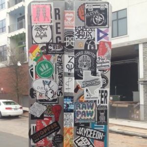 Bunny vs. East Austin