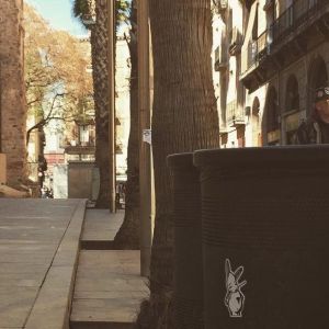Bunny vs. Barcelona, Spain