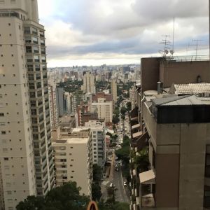 Bunny vs. SÃ£l Paulo, Brazil