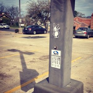 Bunny vs. King's Hwy