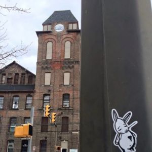 Bunny vs. Dunder Mifflin