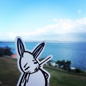 Bunny vs. Puerto Rico