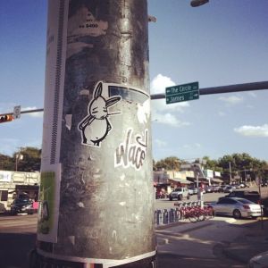 Bunny vs. South Congress