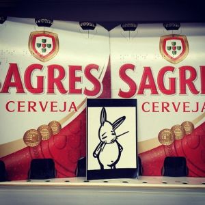 Bunny vs. beer