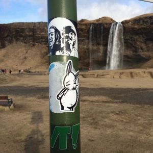 Bunny vs. Iceland
