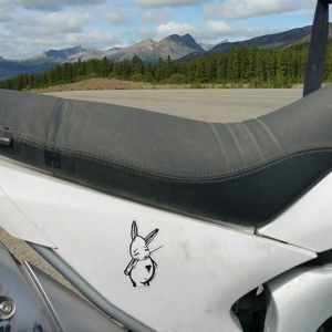 Bunny vs. The Yukon