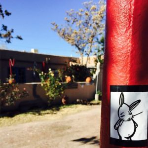 Bunny vs. New Mexico