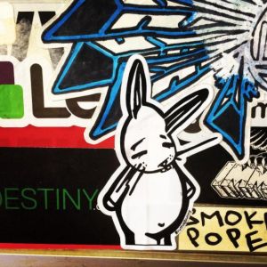 Bunny vs. New Mexico