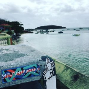 Bunny vs. Puerto Rico