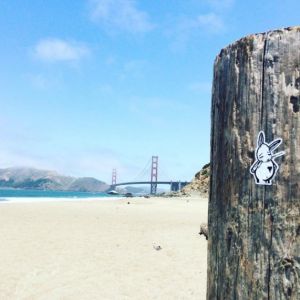 Bunny vs. San Francisco