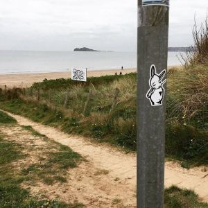 Bunny vs. Portmarnock