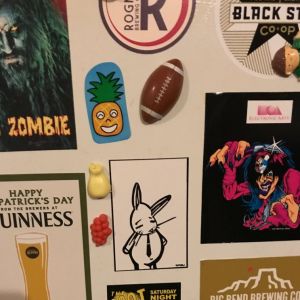 Bunny vs drink fridge